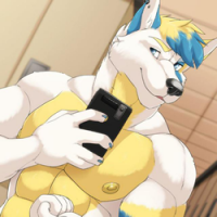 Avatar of Ollister Wolf 