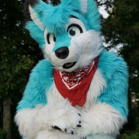 Avatar of Cookie