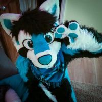 Avatar of Sparkpanda