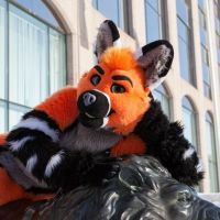 Avatar of CorvusFox