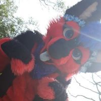 Avatar of crystalpupper