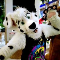 Avatar of rexypup