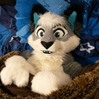Avatar of Roku