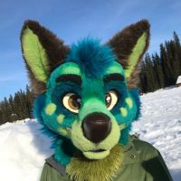 Avatar of Kurtt