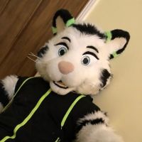 Avatar of techtiggie